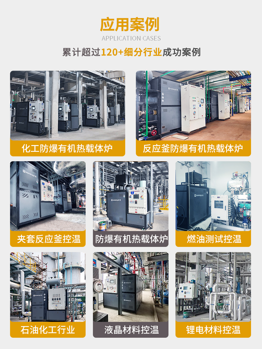 防爆電加熱有機熱載體鍋爐案例